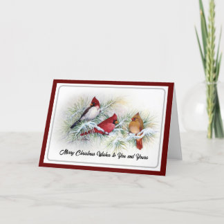 Winter Cardinals Birds Christmas Card