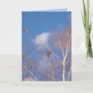 Winter Cardinals Card