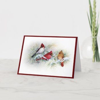 Winter Cardinals Christmas Card by lmountz1935 at Zazzle