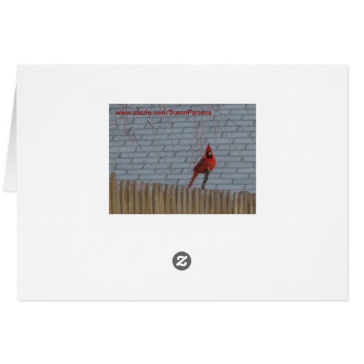 Winter Cardinals & Junco (Back Horizontal)