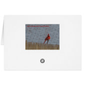 Winter Cardinals & Junco Cards (Back Horizontal)