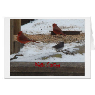 Winter Cardinals & Junco Cards