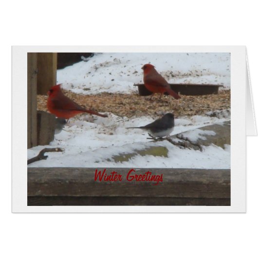 Winter Cardinals & Junco Cards (Front Horizontal)