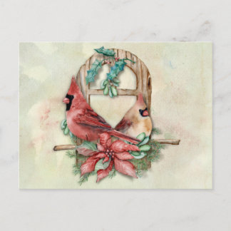 Winter Cardinals Pair with Poinsettia Postcard