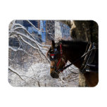 Winter Carriage Horse Magnet at Zazzle