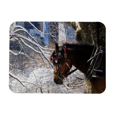Winter Carriage Horse Magnet