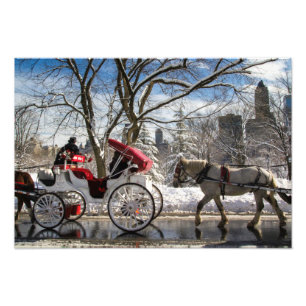 Winter Carriage Horses in Central Park Photo Print