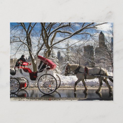 Winter Carriage Horses in Central Park Postcard