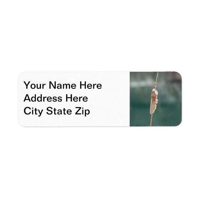 Winter Cattail Closeup Label (Front)