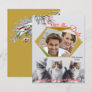 Winter Celebrations in the Snow, with Kittens Announcement