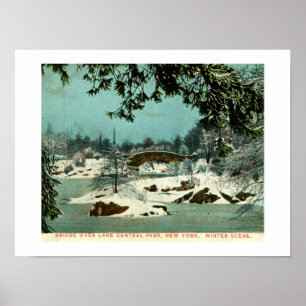 Winter, Cemtral Park, New York City Vintage Poster