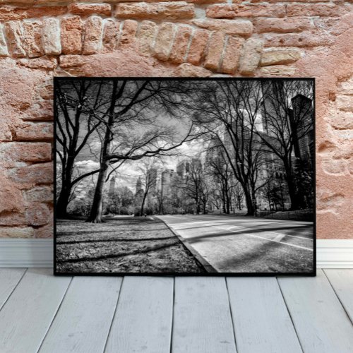 Winter Central Park New York City Black and White Poster
