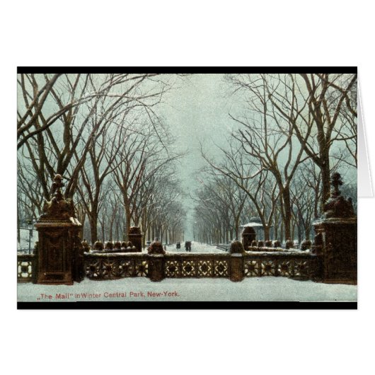 Winter Central Park NY Vintage c1910 Cards (Front Horizontal)