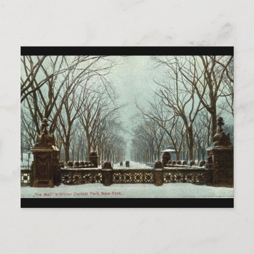 Winter Central Park NY Vintage c1910 Postcard