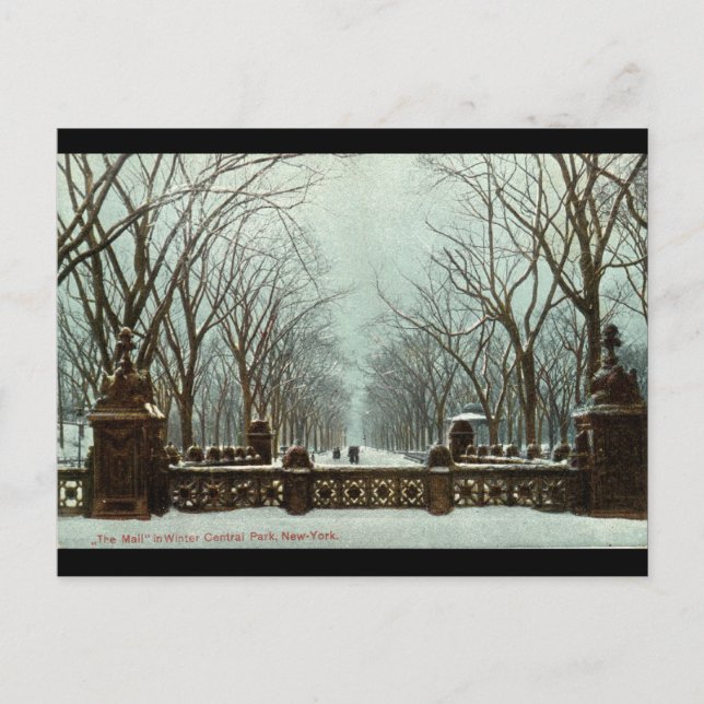 Winter Central Park NY Vintage c1910 Postcard (Front)