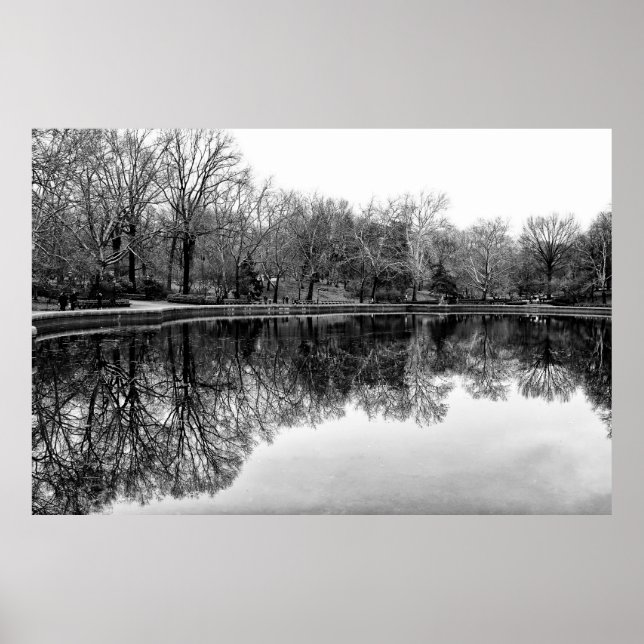 Winter Central Park, NYC Landscape Poster (Front)