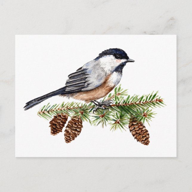 Winter Chickadee Postcard (Front)