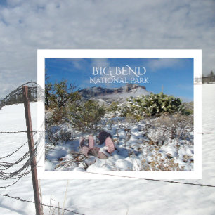 Winter, Chisos Mountains, Big Bend National Park Postcard