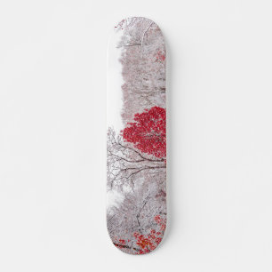 winter christmas 89 skateboard