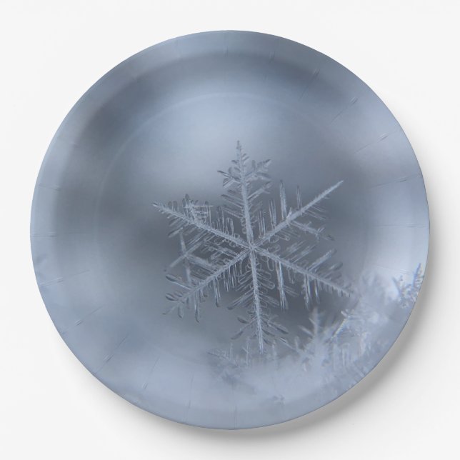 winter christmas 97 paper plates (Front)