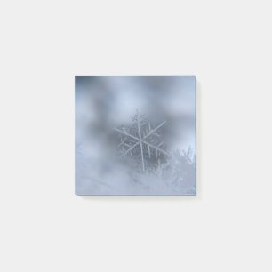 winter christmas 97 post-it notes
