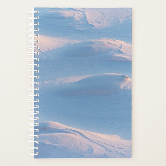 winter christmas 98 planner (Front)