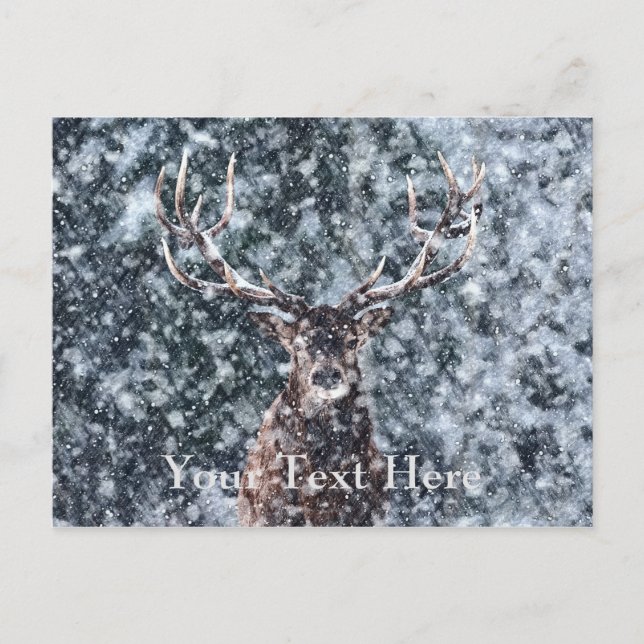 Winter Christmas Deer Postcard (Front)