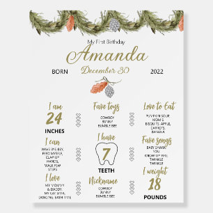 Winter Christmas Onderland Birthday Milestone Sign