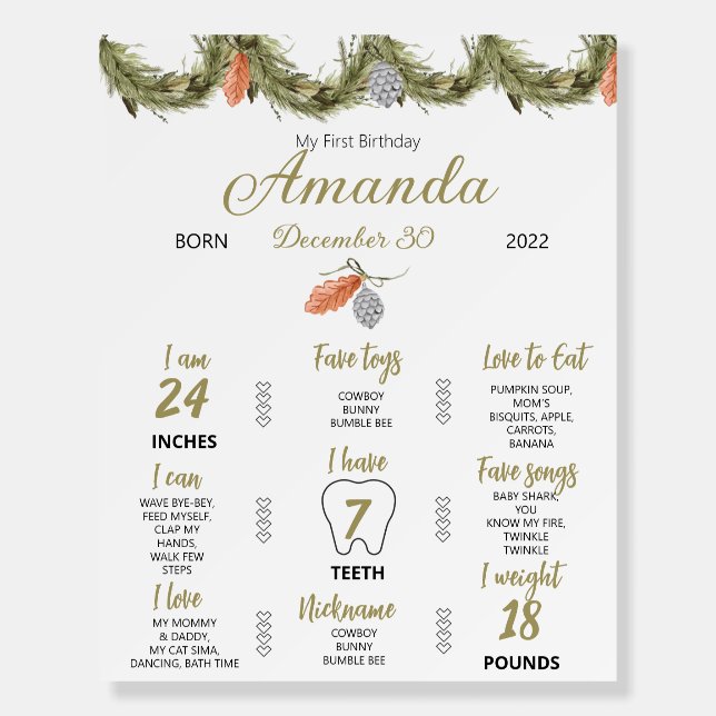 Winter Christmas Onderland Birthday Milestone Sign (Front)