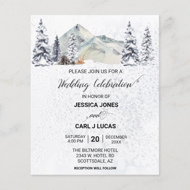 Winter Christmas Snow Landscape Budget  Flyer (Front)