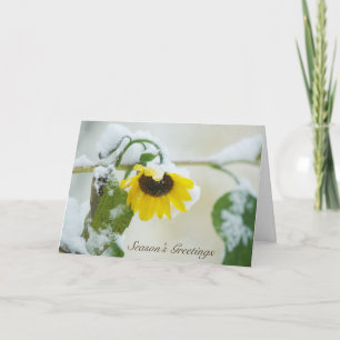 Winter Christmas Sunflower Early Holiday Snow Card