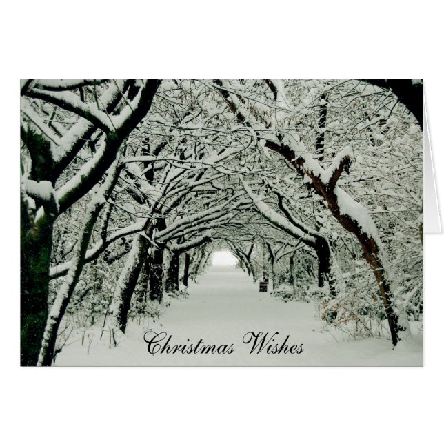 Winter & Christmas Wishes Cards (Front Horizontal)