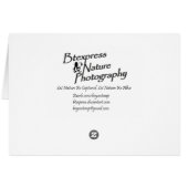 Winter Creek (5.0) Cards (Back Horizontal)