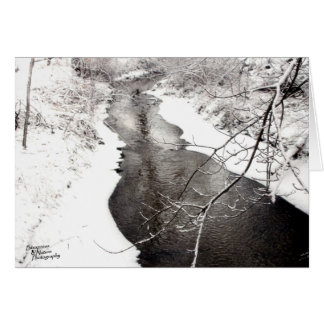 Winter Creek (5.0) Cards