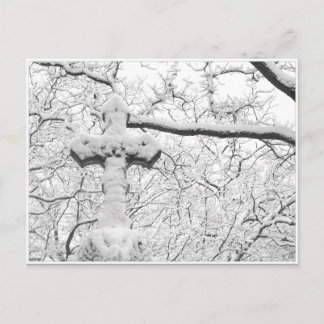 Winter Cross Postcard