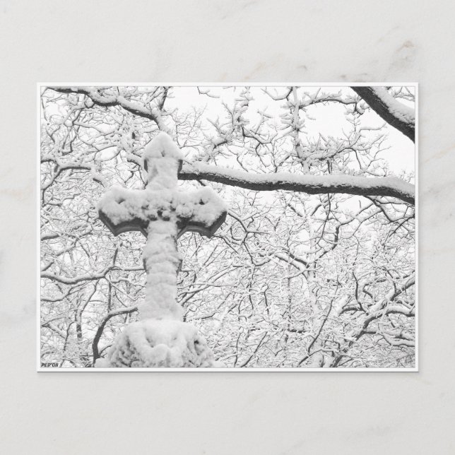 Winter Cross Postcard (Front)