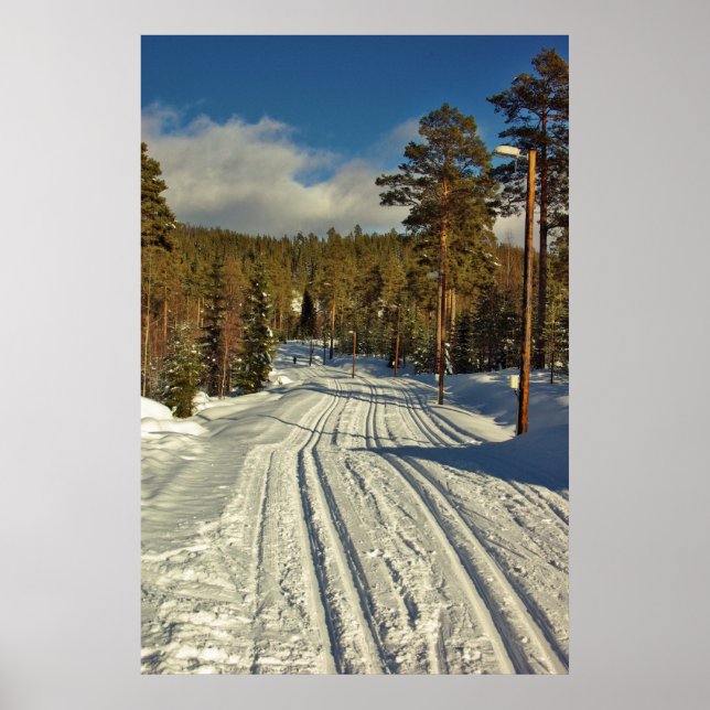 Winter Day on Sweden Poster (Front)