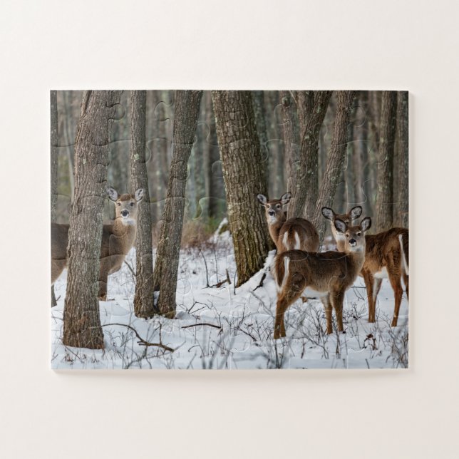 Winter Deer 14x11 easy Jigsaw Puzzle (Horizontal)
