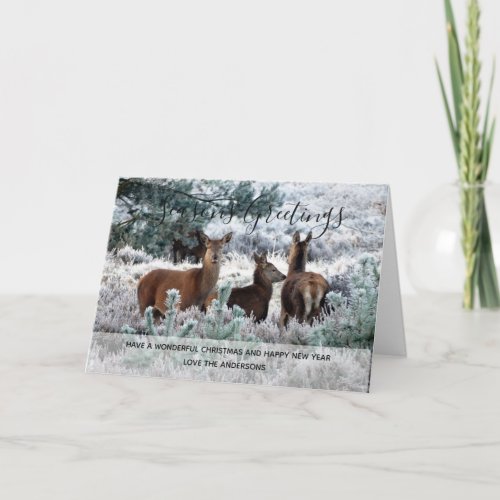 Winter Deer Snow Christmas Photo Personalized Holiday Card