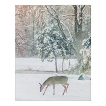 Winter deer Wall Art