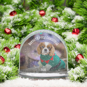 Winter Dog's Photo Christmas Snow Globe