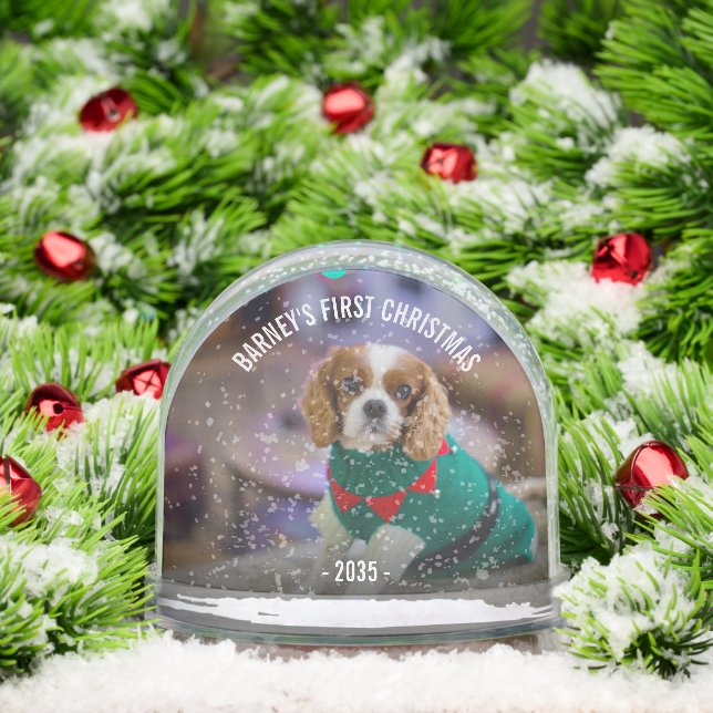 Winter Dog's Photo Christmas Snow Globe (Christmas)