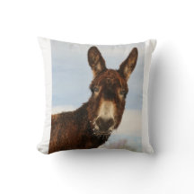 Winter Donkey