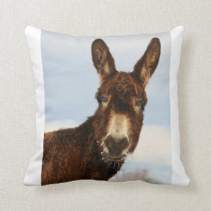 donkey pillow pet