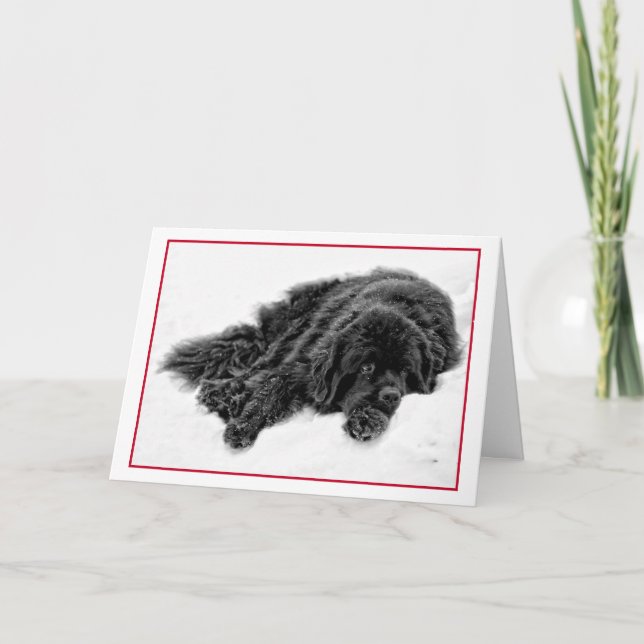 Winter Dreams Holiday Card (Front)