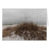 Winter Dunes (Front Horizontal)