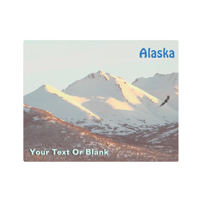 Winter Eagle And Mountains Metal Print (Front)