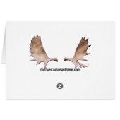 Winter Eagle Cards (Back Horizontal)