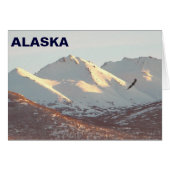 Winter Eagle Cards (Front Horizontal)
