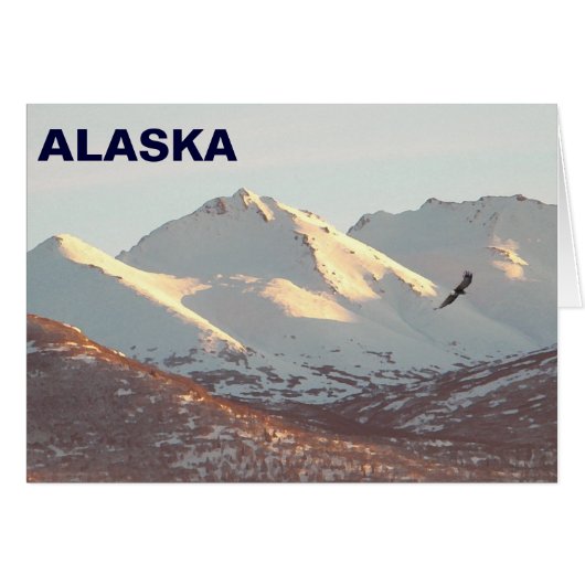 Winter Eagle Cards (Front Horizontal)